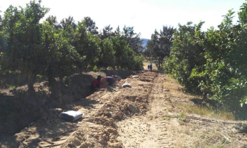 Diamand Farm – Drainage Pipe