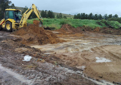 Diamant Farm – Loading Zone